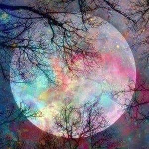 Meet your Posher, Suzie